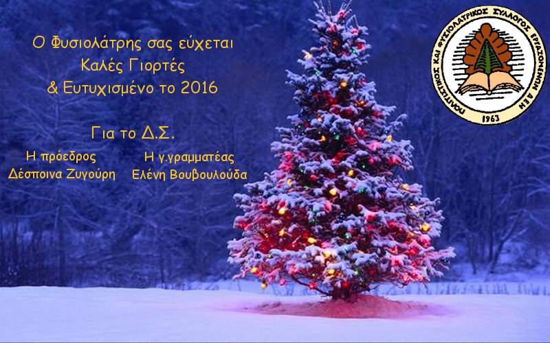 Καλές Γιορτές …