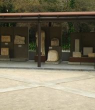 Από την εκδρομή του ΦΥΣΙΟΛΑΤΡΗ στο Νέο Αρχαιολογικό Μουσείο Θήβας ΚΥΡΙΑΚΗ 18 ΜΑΡΤΙΟΥ 2018